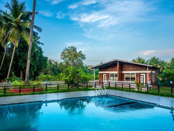 Jungle Pool Resort